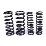 Pegas katup hidraulik