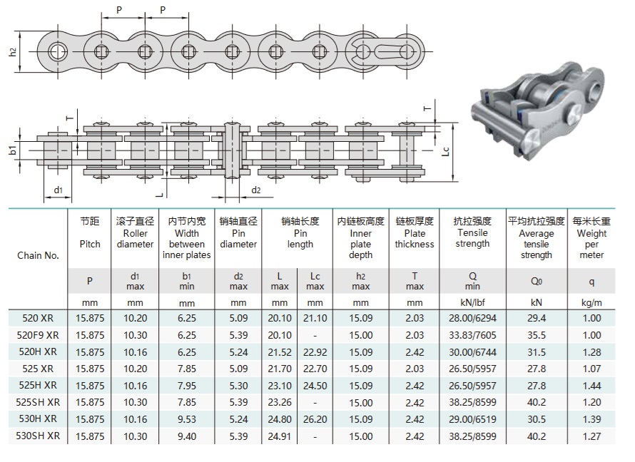 Tabel Teknis Rantai Motor X-Seal