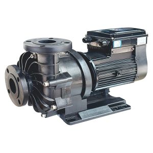 Pompa magnet permanen yang terhubung langsung