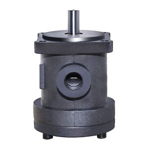 Pompa vane berkapasitas tetap